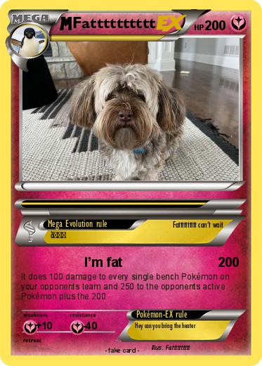 Pokemon Fatttttttttt
