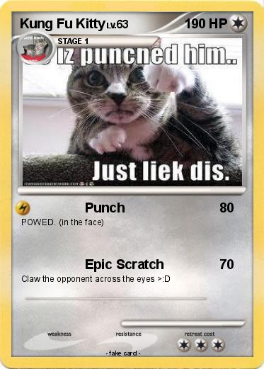 Pokemon Kung Fu Kitty