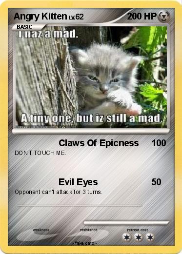 Pokemon Angry Kitten