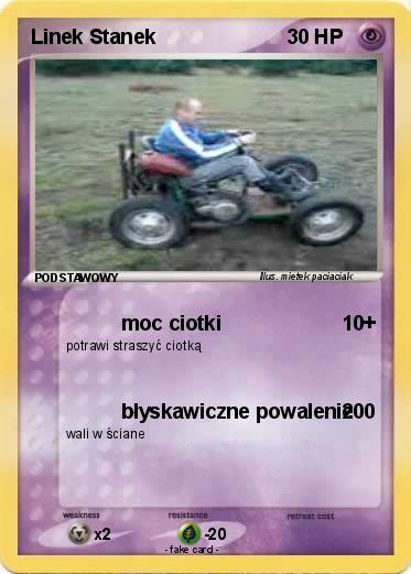 Pokemon Linek Stanek