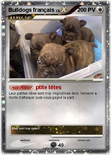 Pokemon Bulldogs français