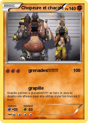 Pokemon Chopeure et chacale