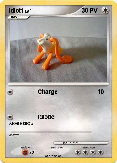 Pokemon Idiot1