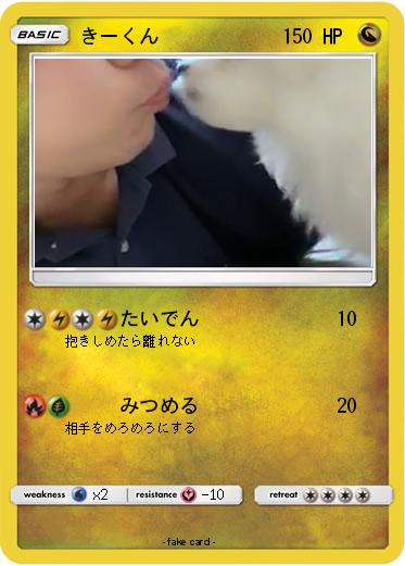 Pokemon きーくん