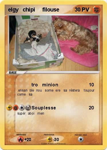 Pokemon elgy   chipi     filouse   
