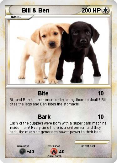 Pokemon Bill & Ben