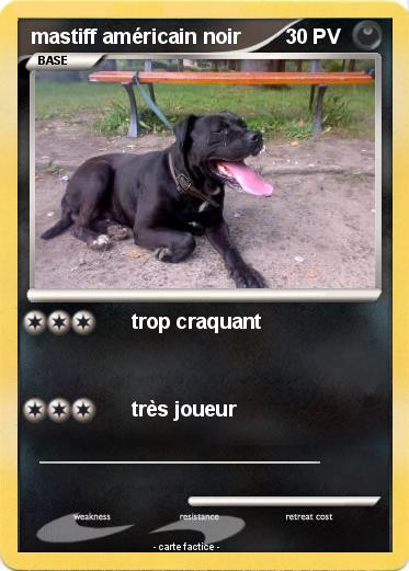 Pokemon mastiff américain noir