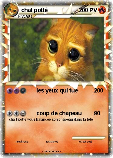 Pokemon chat potté