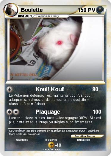 Pokemon Boulette