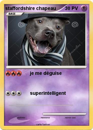 Pokemon staffordshire chapeau