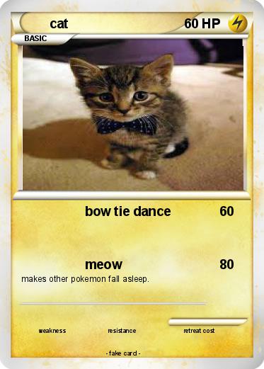 Pokemon cat