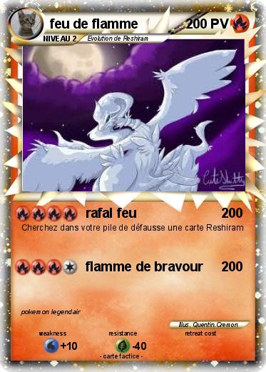 Pokemon feu de flamme