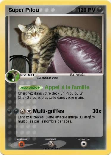 Pokemon Super Pilou