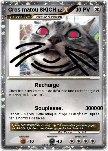 Pokemon Gros matou SKICH