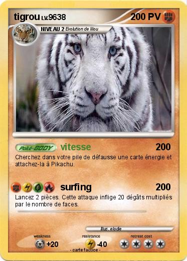 Pokemon tigrou