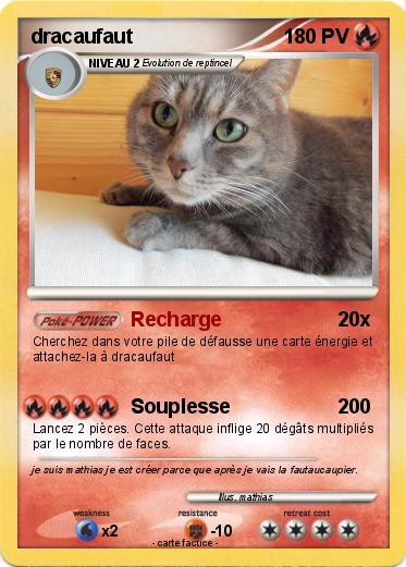 Pokemon dracaufaut