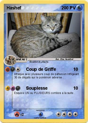 Pokemon Hashef