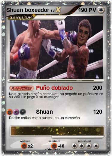 Pokemon Shuan boxeador