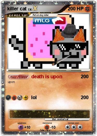 Pokemon killer cat