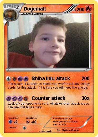 Pokemon Dogematt