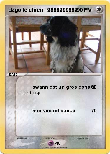 Pokemon dago le chien   9999999999