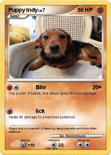 Pokemon Puppy Indy