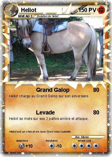 Pokemon Heliot