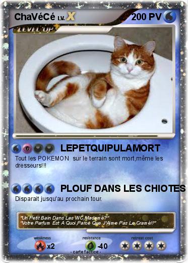 Pokemon ChaVéCé