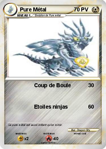 Pokemon Pure Métal