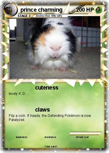 Pokemon prince charming