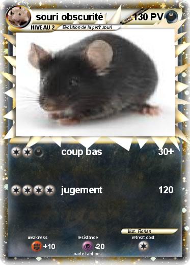 Pokemon souri obscurité
