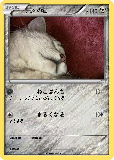 Pokemon 実家の猫
