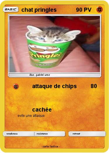 Pokemon chat pringles