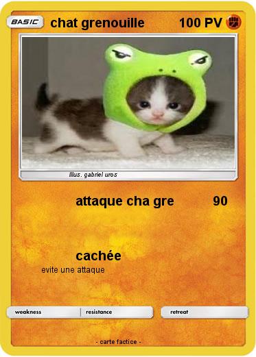 Pokemon chat grenouille