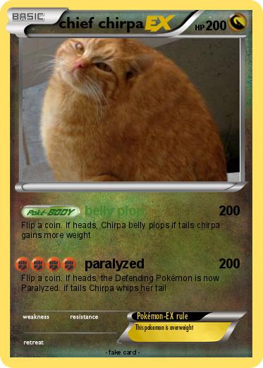 Pokemon chief chirpa