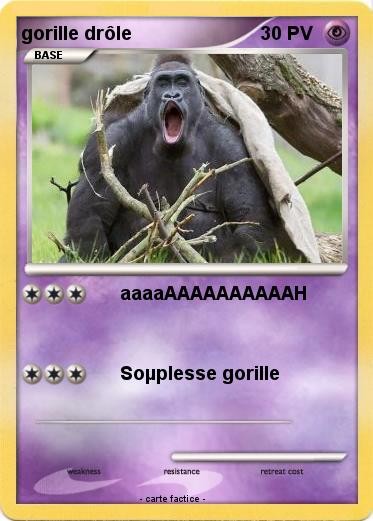 Pokemon gorille drôle