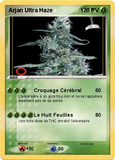 Pokemon Arjan Ultra Haze