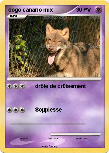 Pokemon dogo canario mix