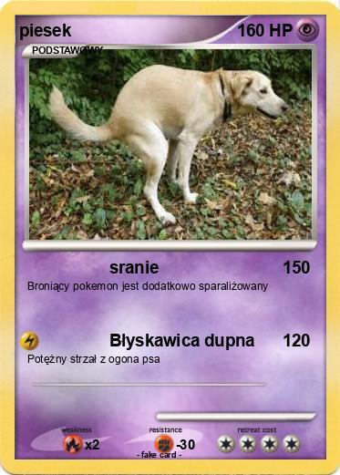 Pokemon piesek