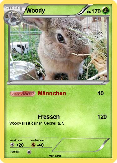 Pokemon Woody