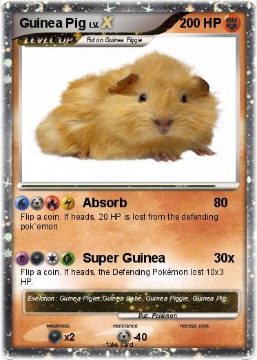 Pokemon Guinea Pig