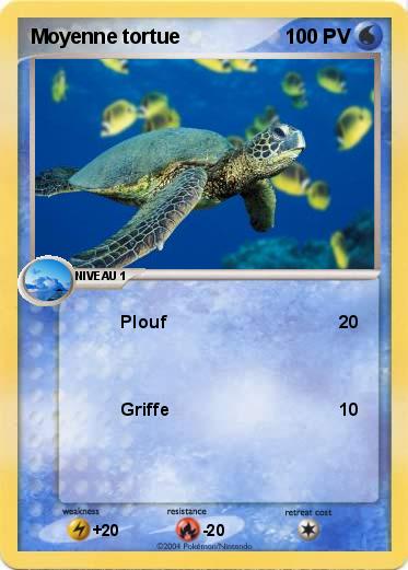 Pokemon Moyenne tortue