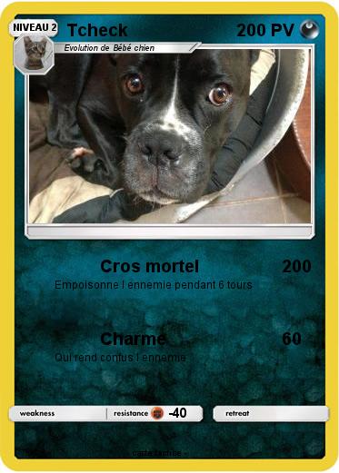 Pokemon Tcheck
