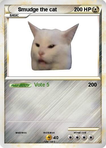 Pokemon Smudge the cat