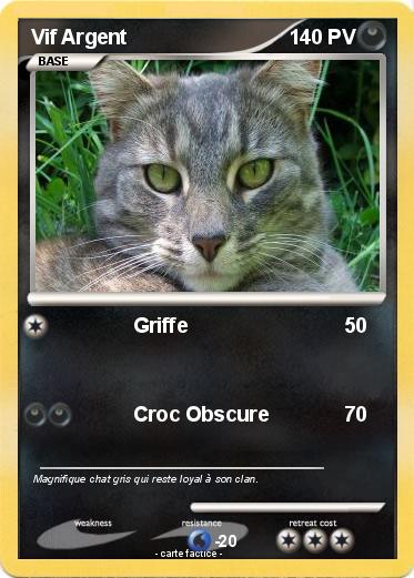 Pokemon Vif Argent