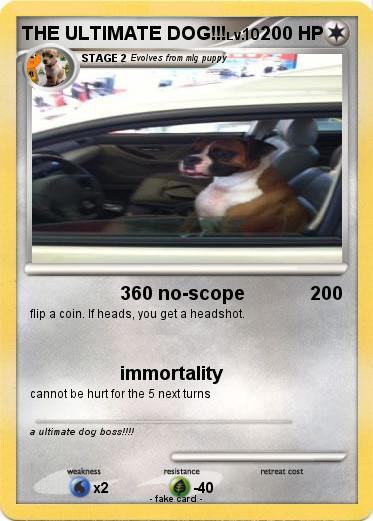 Pokemon THE ULTIMATE DOG!!!