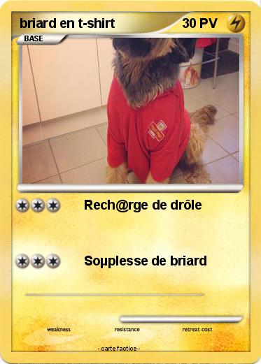 Pokemon briard en t-shirt