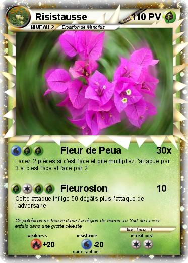 Pokemon Risistausse