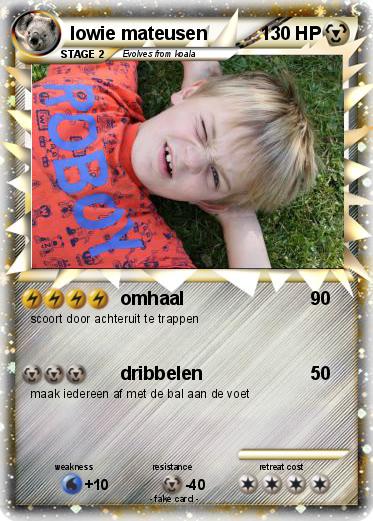 Pokemon lowie mateusen