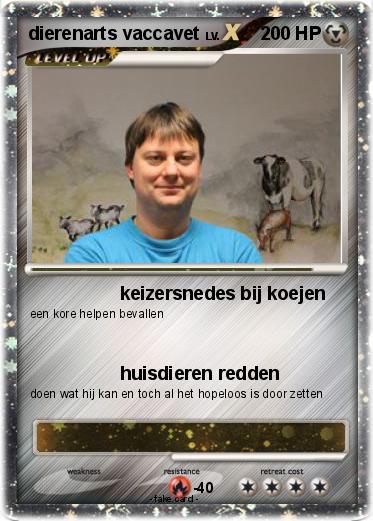 Pokemon dierenarts vaccavet